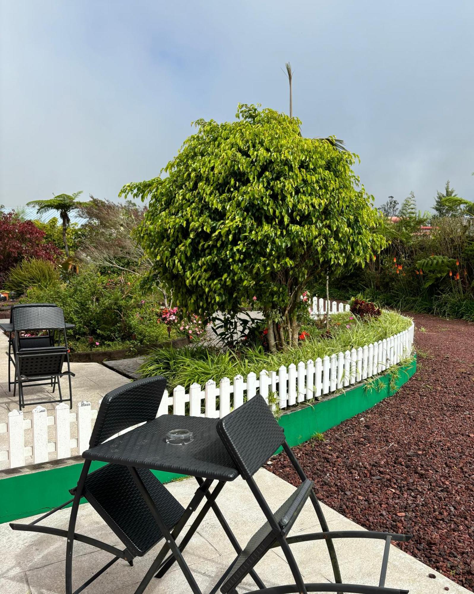 Bed and Breakfast L'Echelle La Plaine des Palmistes Exterior foto